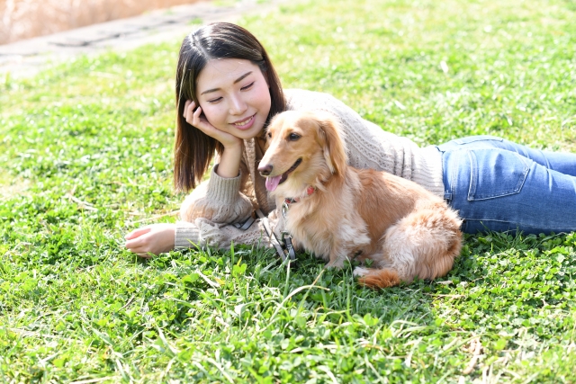 芝生でくつろぐ女性と犬